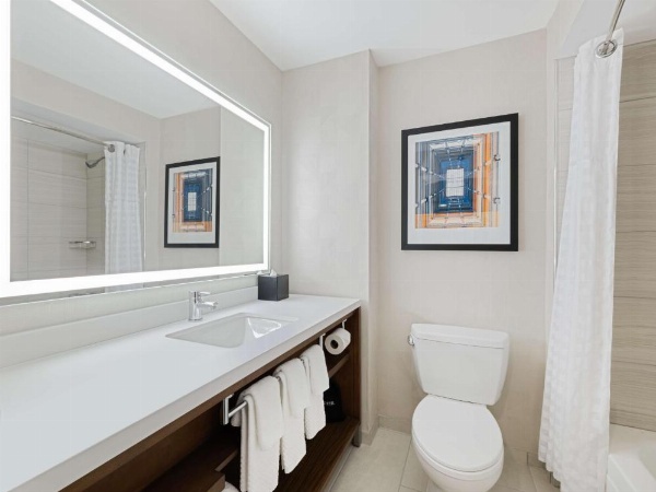 Embassy Suites Chicago - Downtown River North image 18